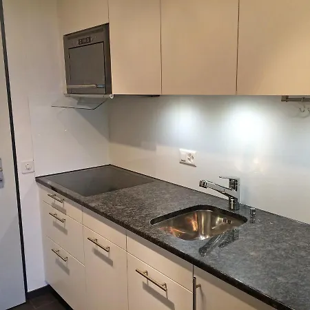 Apartmán Utoring Acletta-54 By Interhome Disentis