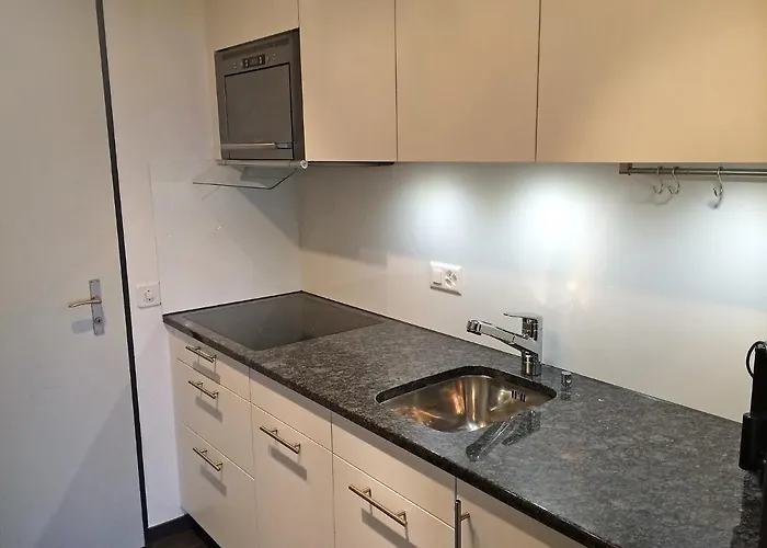 Lejlighed C 032 By Interhome Disentis